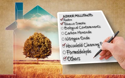 Common Air Impurities in Your Home