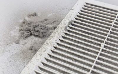 Understanding the Importance of Air Duct Cleaning